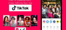 HOW DOES THE TIKTOK BAN AFFECT THE GROWING SOCIAL MEDIA INFLUENCERS IN INDIA?